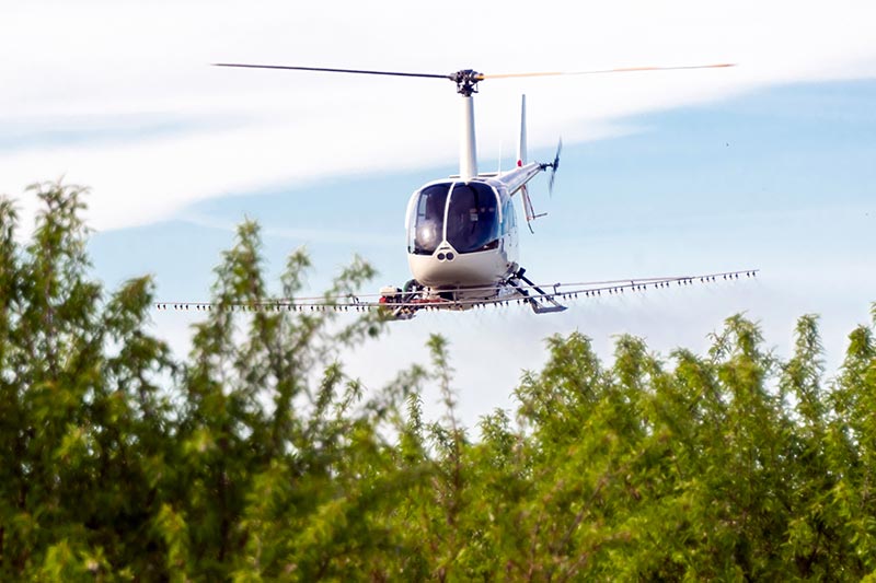 Arkansas Frost Control by Helicopter
